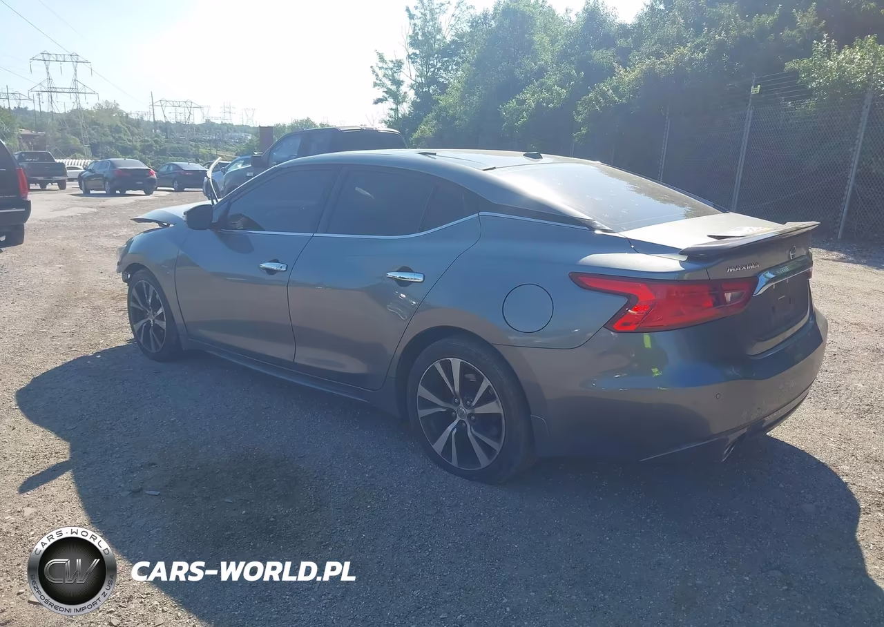 NISSAN MAXIMA VIN:1N4AA6AP1GC379945 - 3
