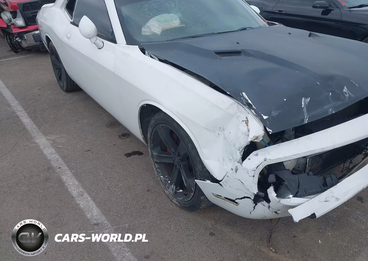 2014 Dodge Challenger Rallye Redline VIN:2C3CDYAGXEH196919 - 11