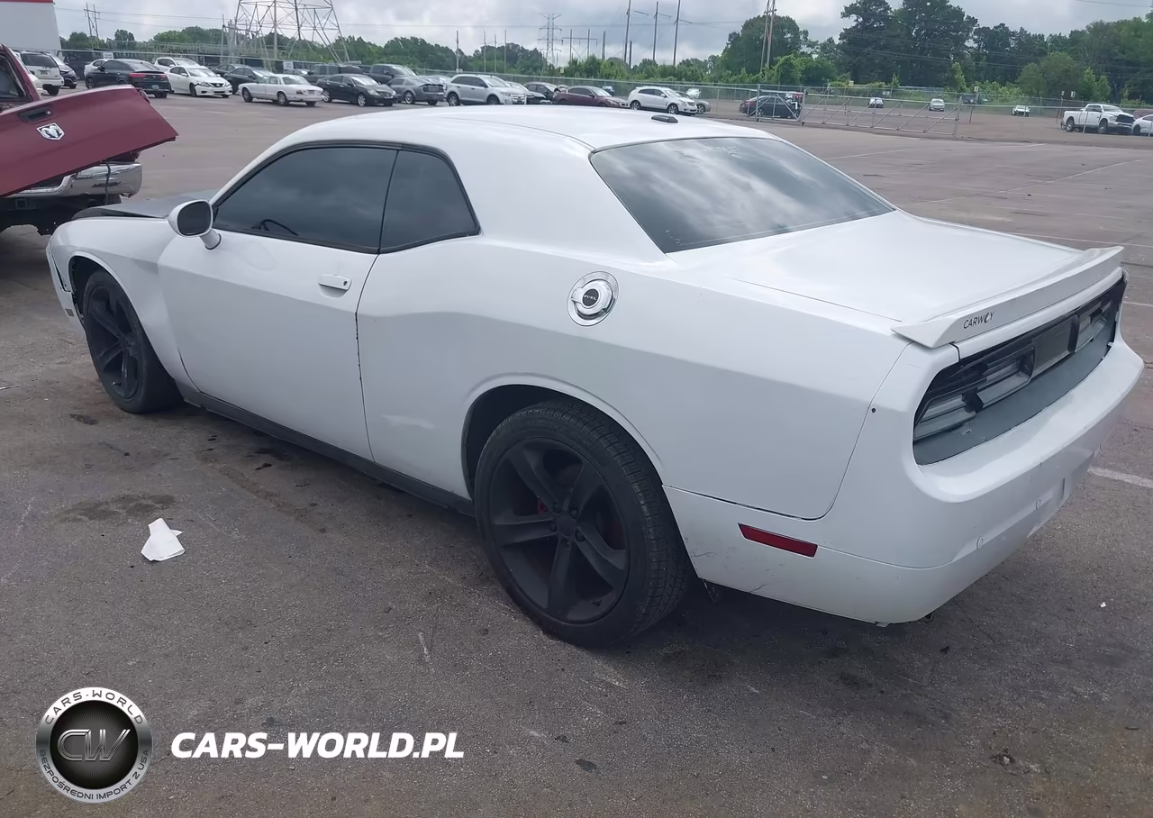2014 Dodge Challenger Rallye Redline VIN:2C3CDYAGXEH196919 - 3