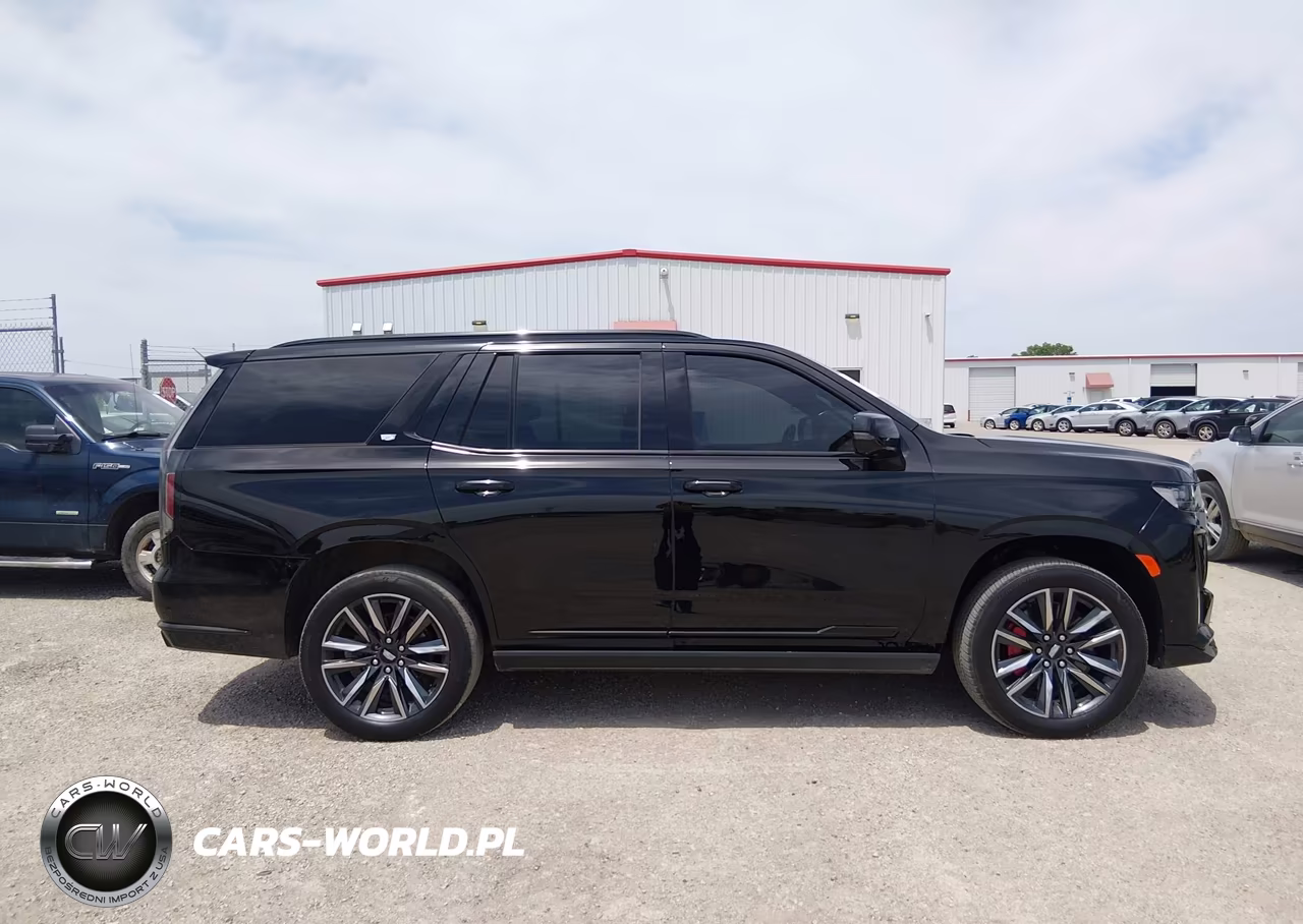 2022 Cadillac Escalade 4Wd Sport Platinum VIN:1GYS4GKL2NR359036 - 13