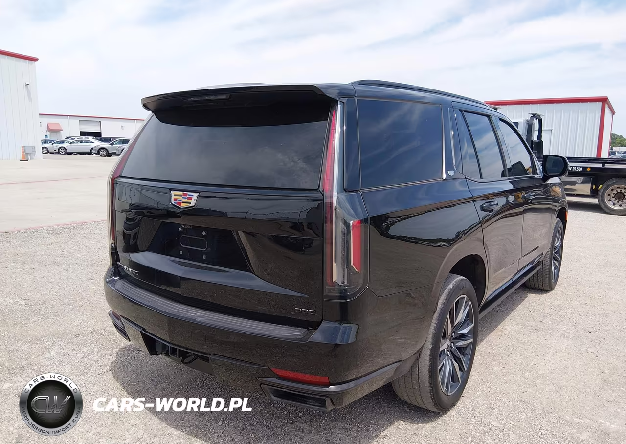 2022 Cadillac Escalade 4Wd Sport Platinum VIN:1GYS4GKL2NR359036 - 4