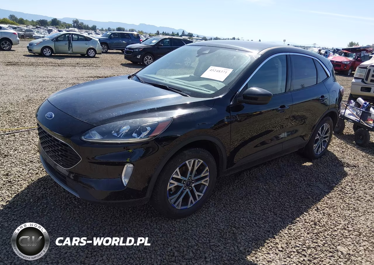 2022 Ford Escape Sel VIN:1FMCU9H65NUA72435 - 2