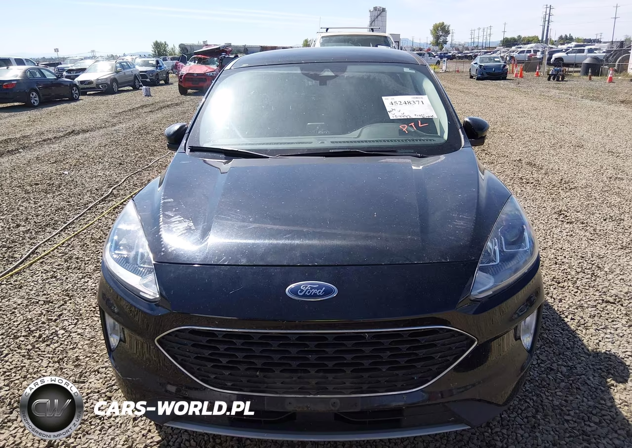 2022 Ford Escape Sel VIN:1FMCU9H65NUA72435 - 6