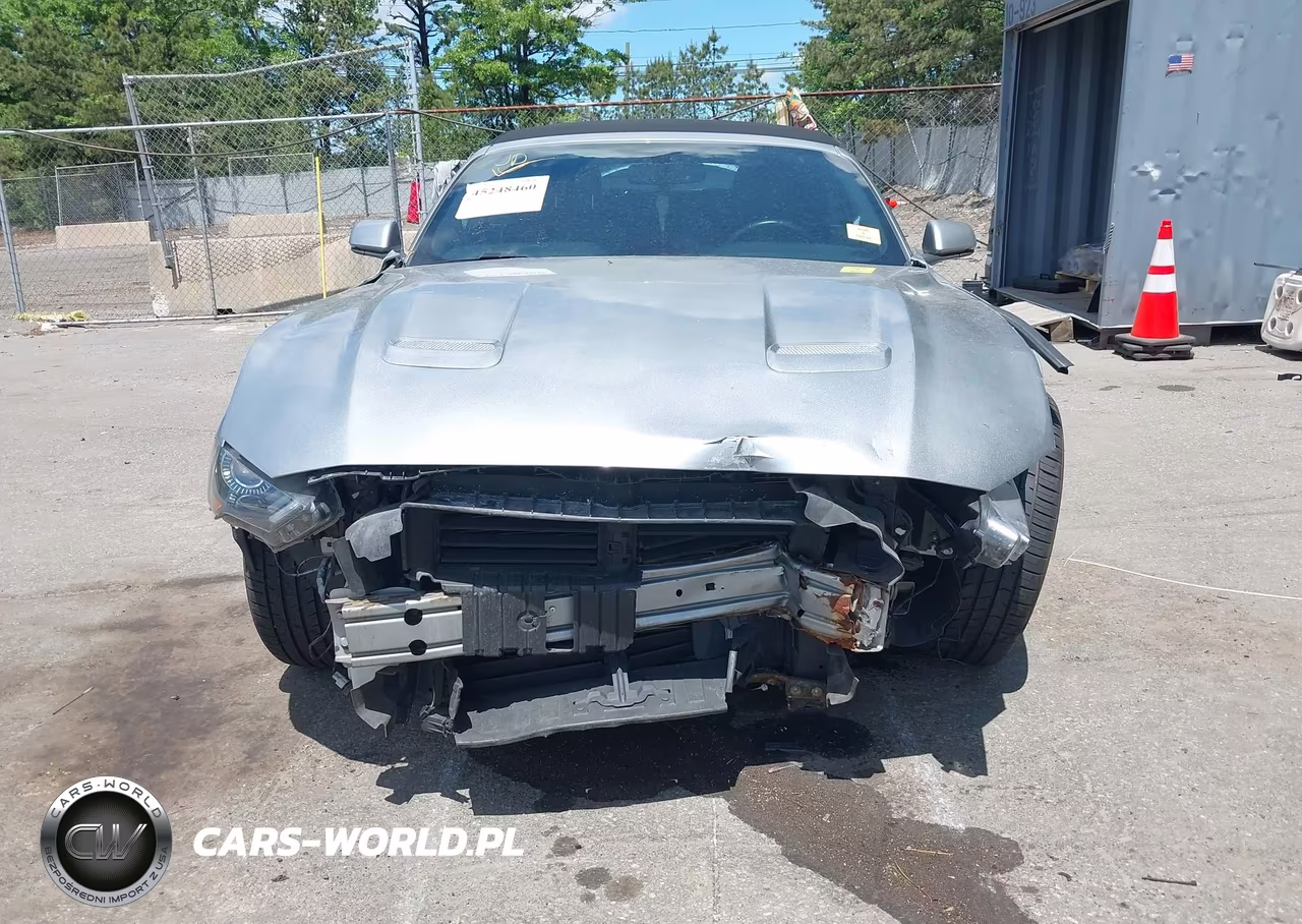 2020 Ford Mustang Ecoboost Premium VIN:1FATP8UH9L5143310 - 13