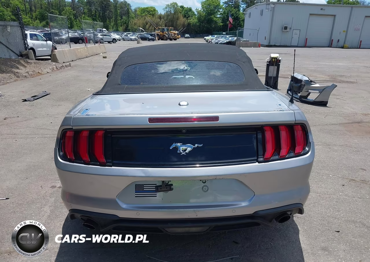 2020 Ford Mustang Ecoboost Premium VIN:1FATP8UH9L5143310 - 17