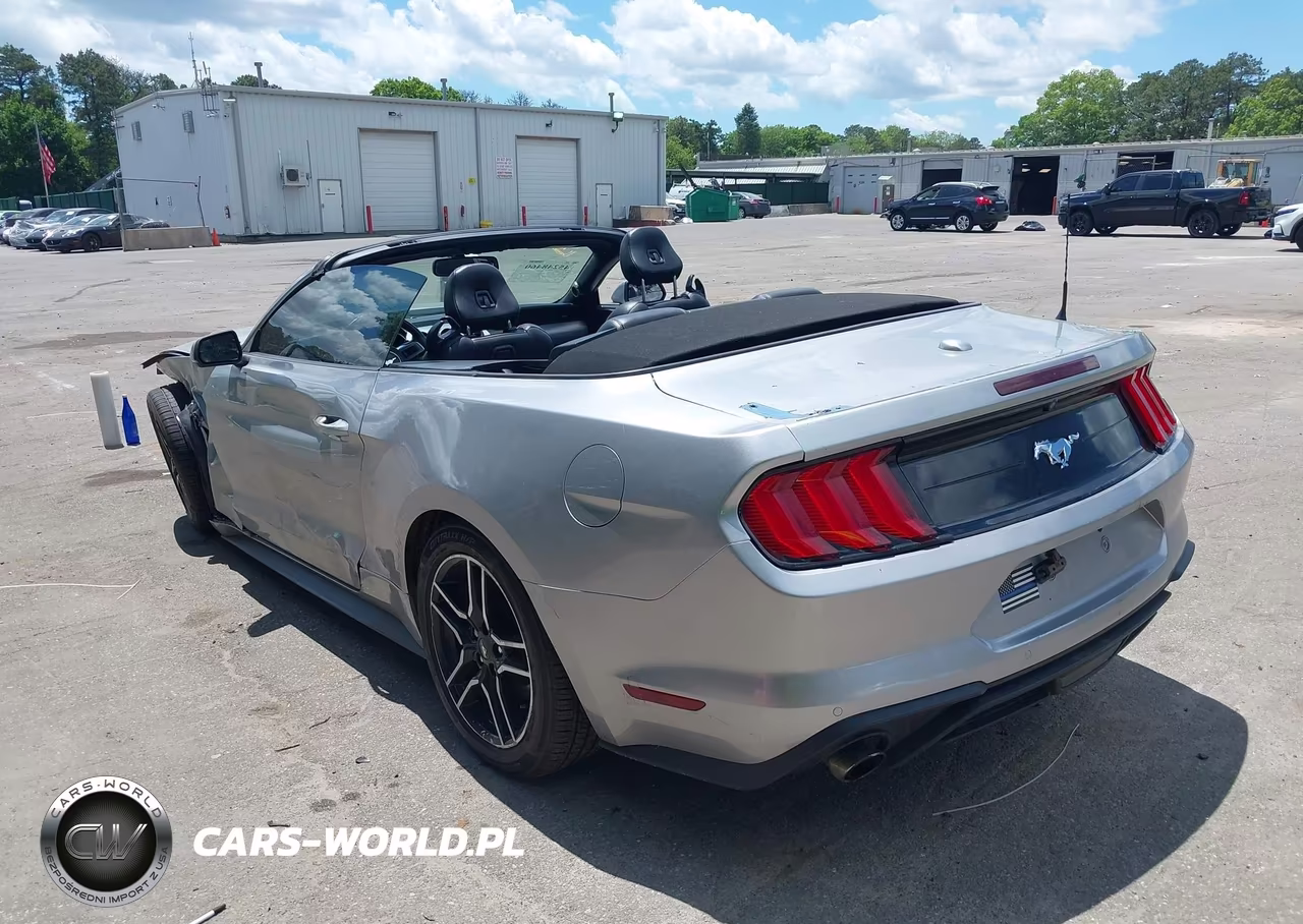 2020 Ford Mustang Ecoboost Premium VIN:1FATP8UH9L5143310 - 3