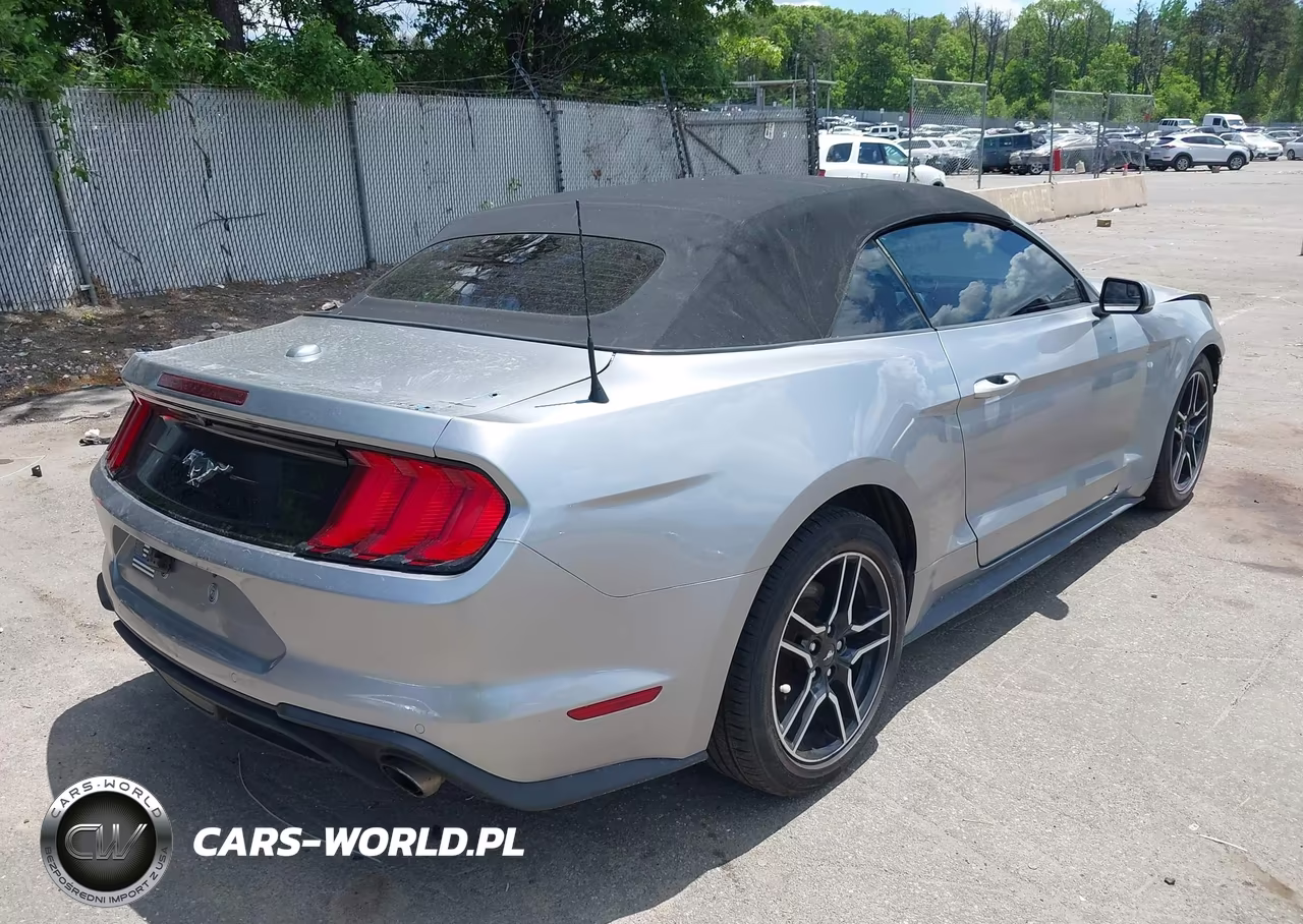 2020 Ford Mustang Ecoboost Premium VIN:1FATP8UH9L5143310 - 4