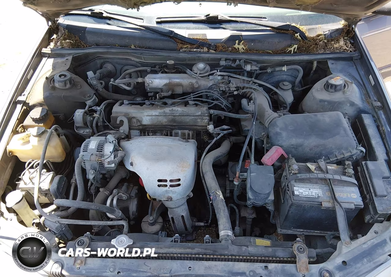 1997 Toyota Camry Le VIN:4T1BG22K1VU178154 - 10