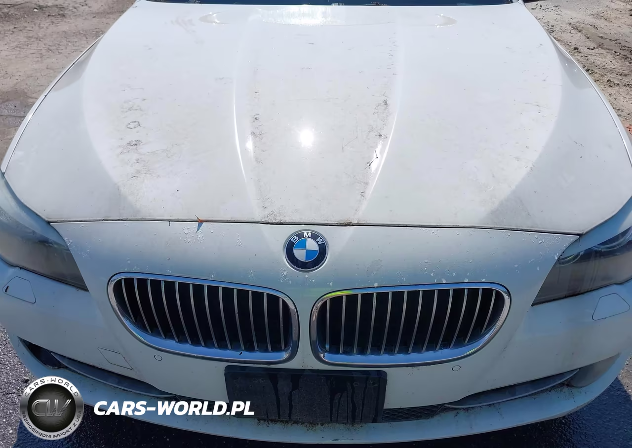 2013 BMW 528I xDrive VIN:WBAXH5C59DD113002 - 10