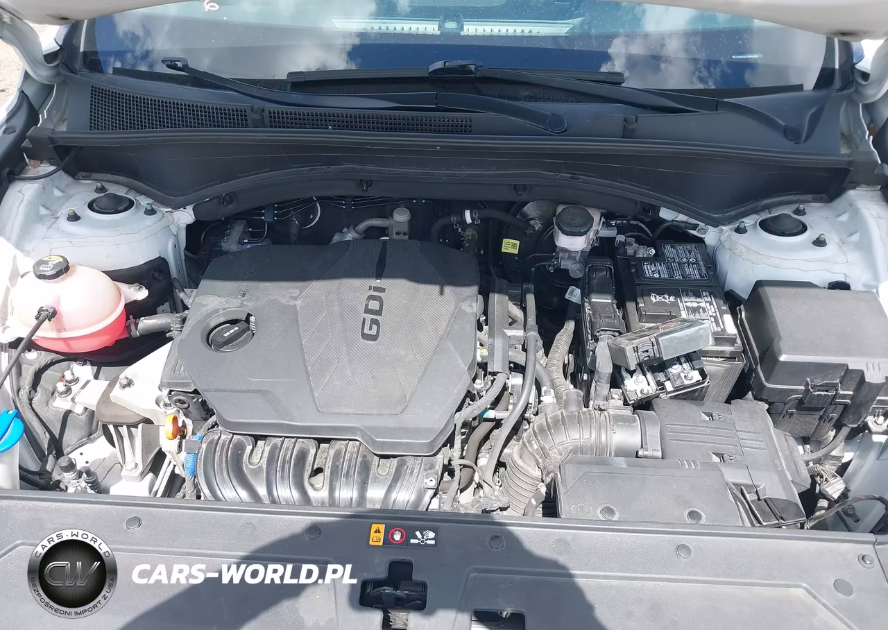 2023 Hyundai Santa Fe Sel VIN:5NMS24AJ3PH567637 - 10