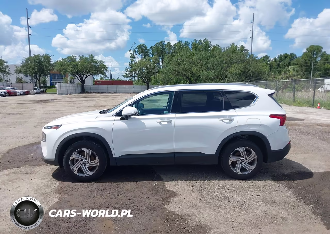 2023 Hyundai Santa Fe Sel VIN:5NMS24AJ3PH567637 - 14