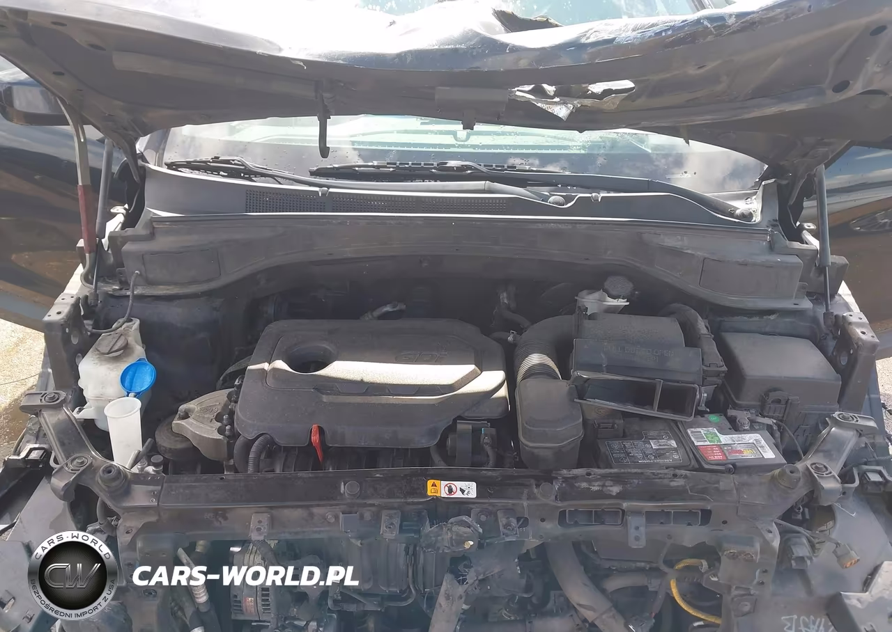 2018 Hyundai Santa Fe Sport 2.4L VIN:5XYZT3LB2JG563298 - 10