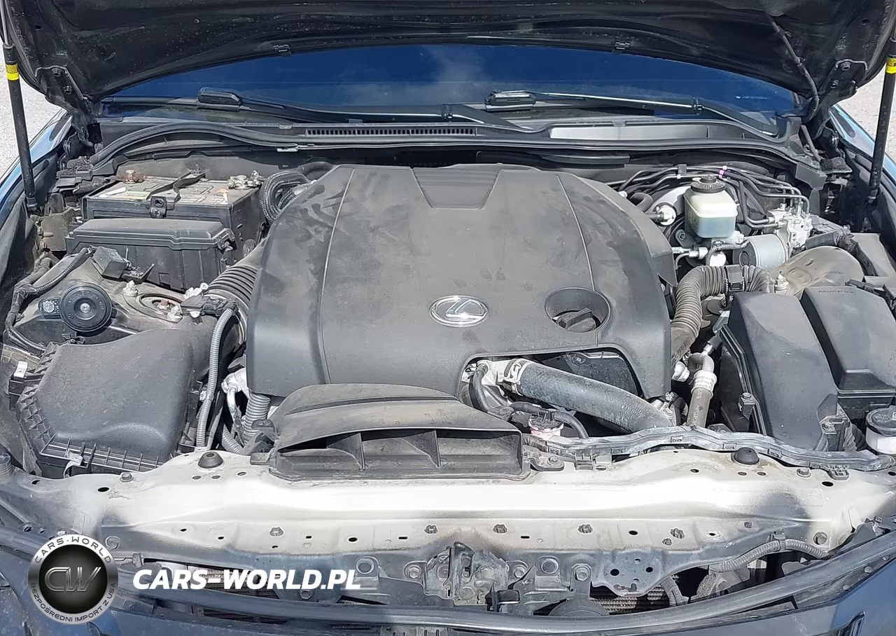 2014 Lexus Is 250 VIN:JTHBF1D27E5008727 - 10