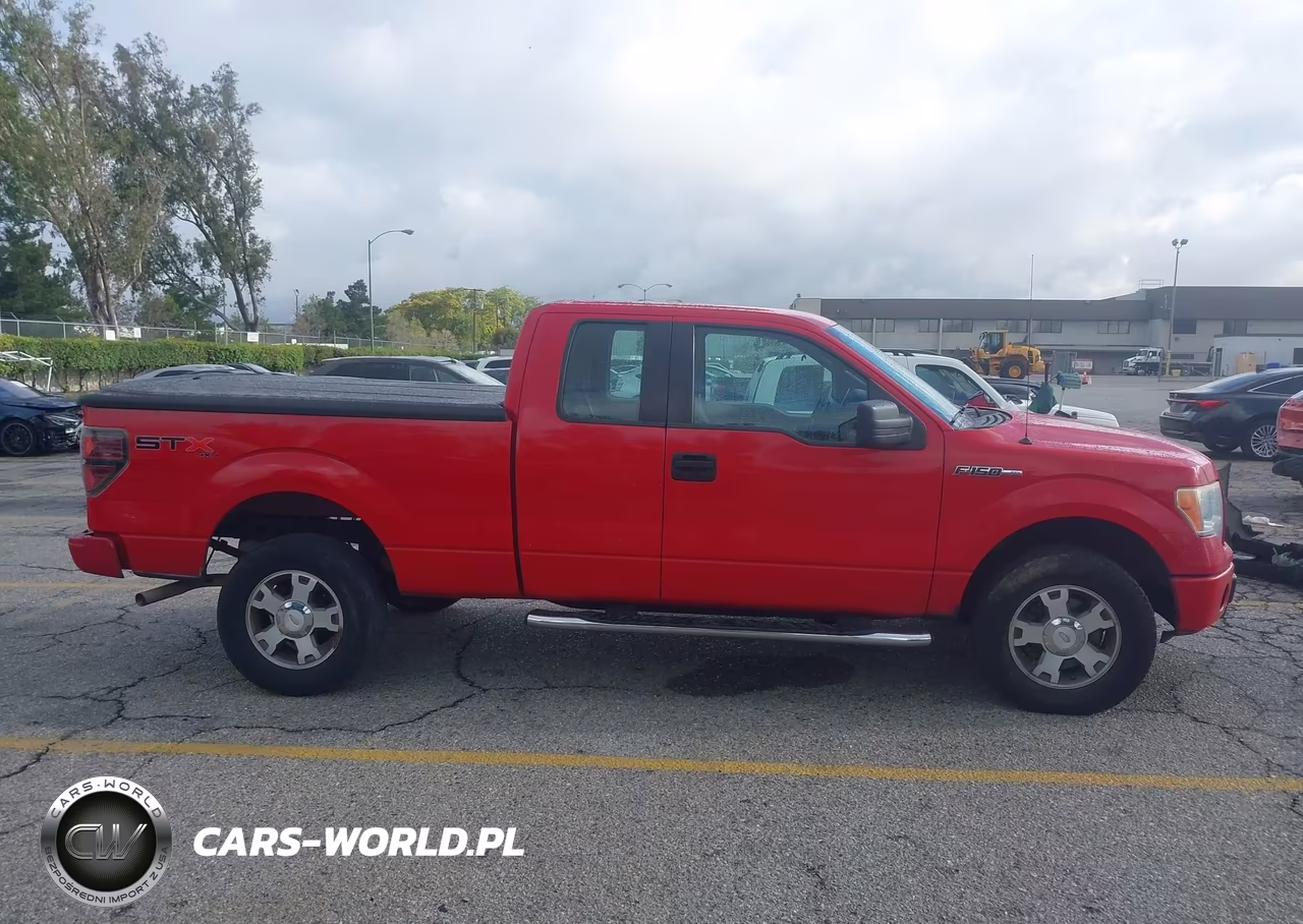 2010 Ford F-150 Stx-Xl VIN:1FTEX1EWXAFB48322 - 13