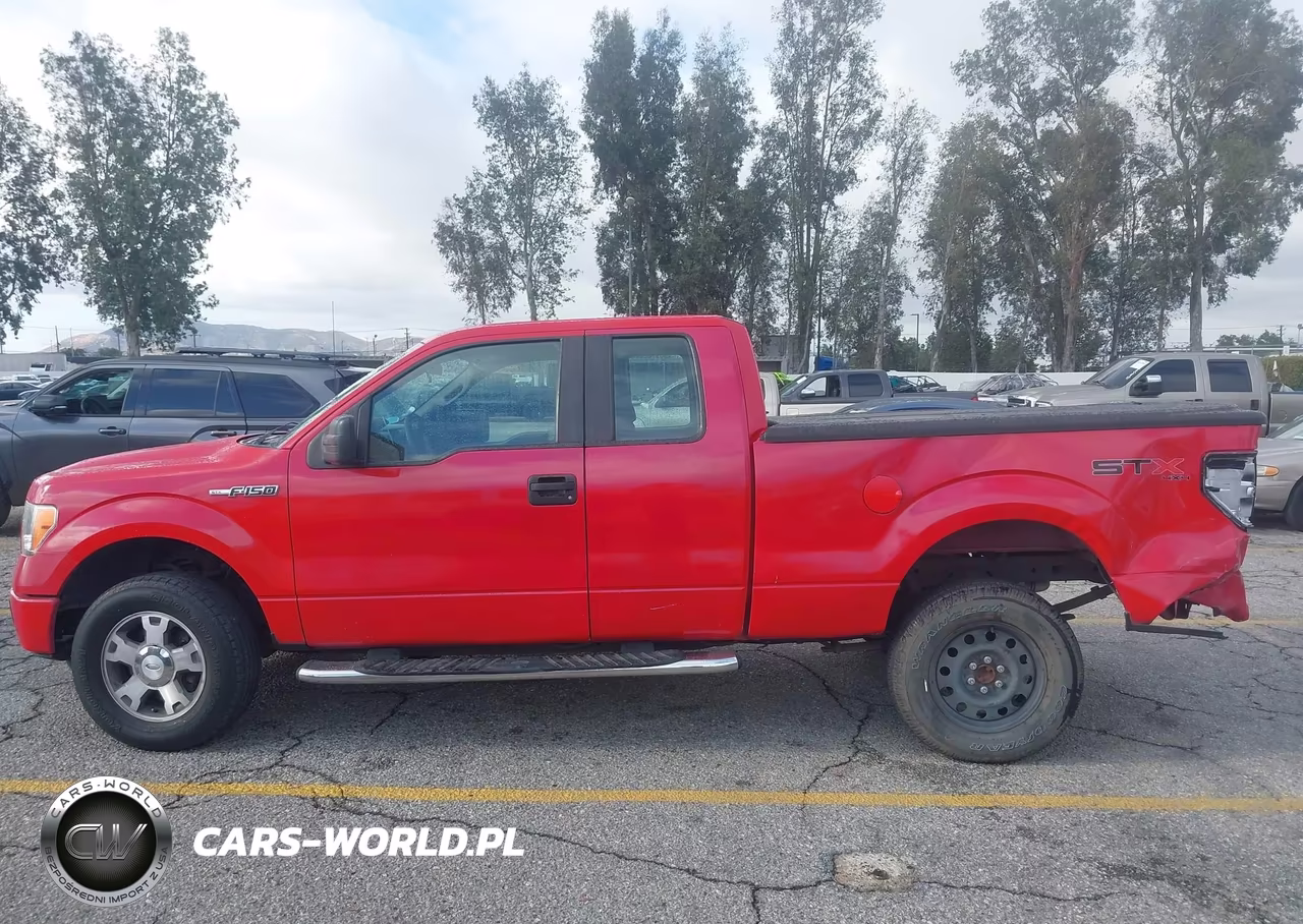 2010 Ford F-150 Stx-Xl VIN:1FTEX1EWXAFB48322 - 14