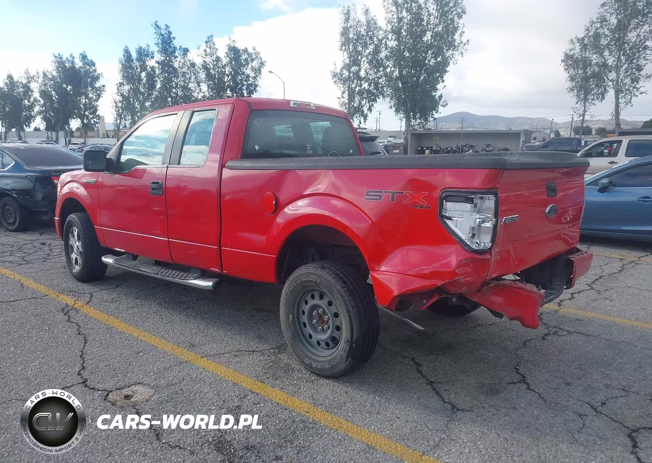 2010 Ford F-150 Stx-Xl VIN:1FTEX1EWXAFB48322 - 3