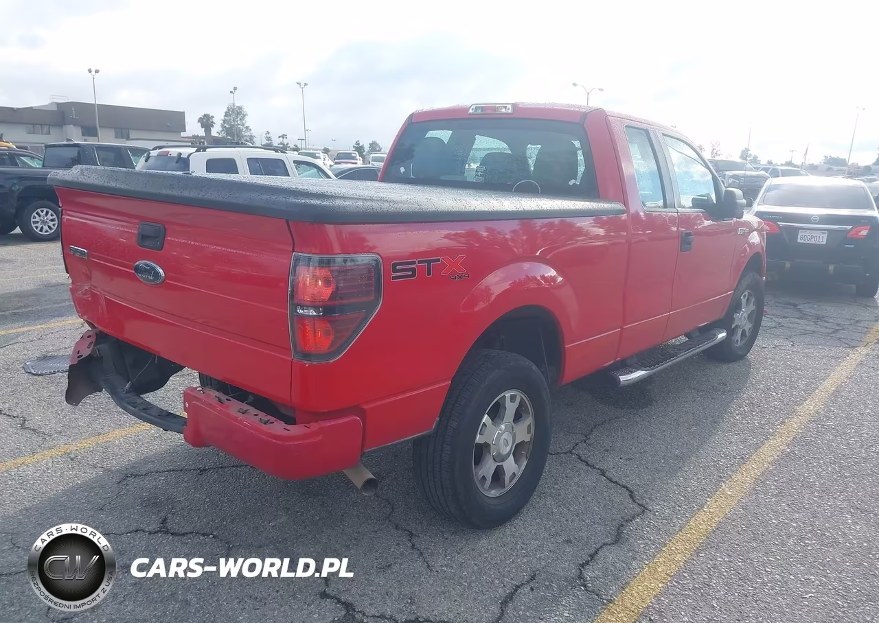 2010 Ford F-150 Stx-Xl VIN:1FTEX1EWXAFB48322 - 4