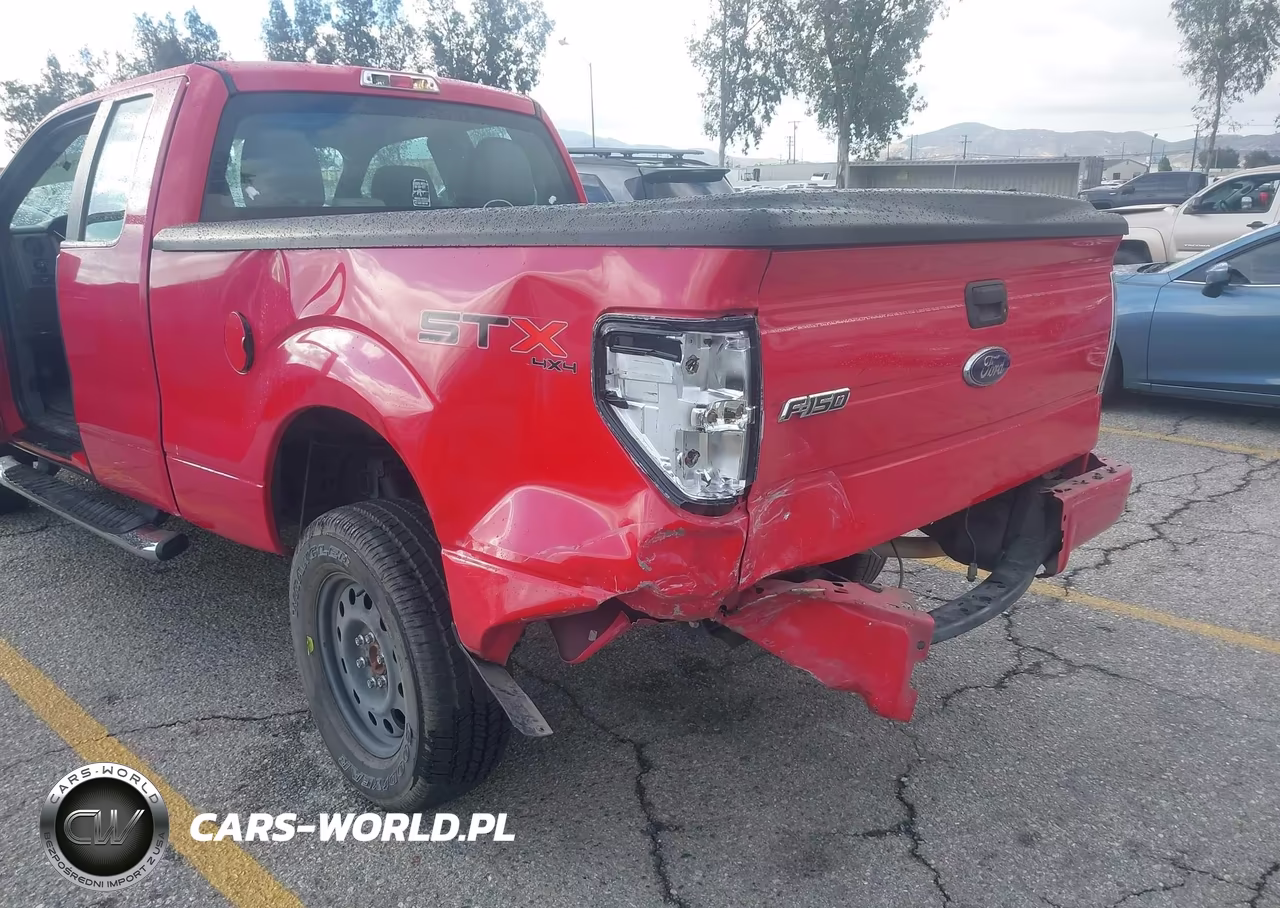 2010 Ford F-150 Stx-Xl VIN:1FTEX1EWXAFB48322 - 6