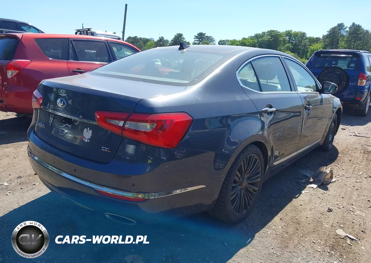 2014 Kia Cadenza Limited VIN:KNALN4D78E5155898 - 4