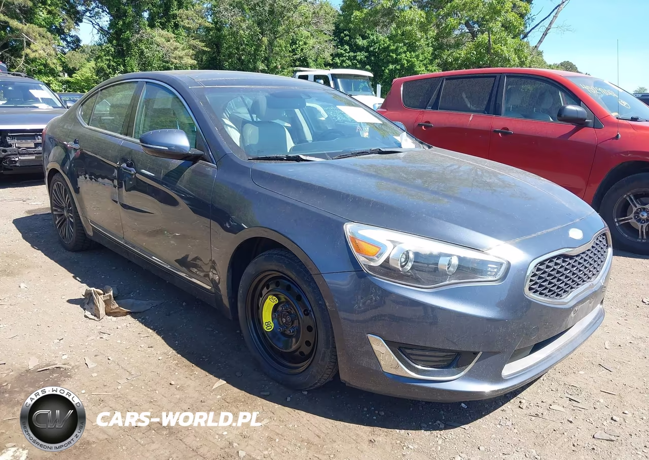 2014 Kia Cadenza Limited VIN:KNALN4D78E5155898 - 6