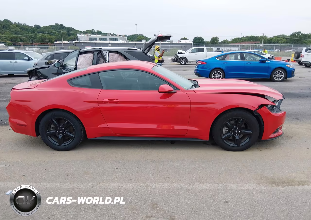 2017 Ford Mustang V6 VIN:1FA6P8AM3H5250262 - 13