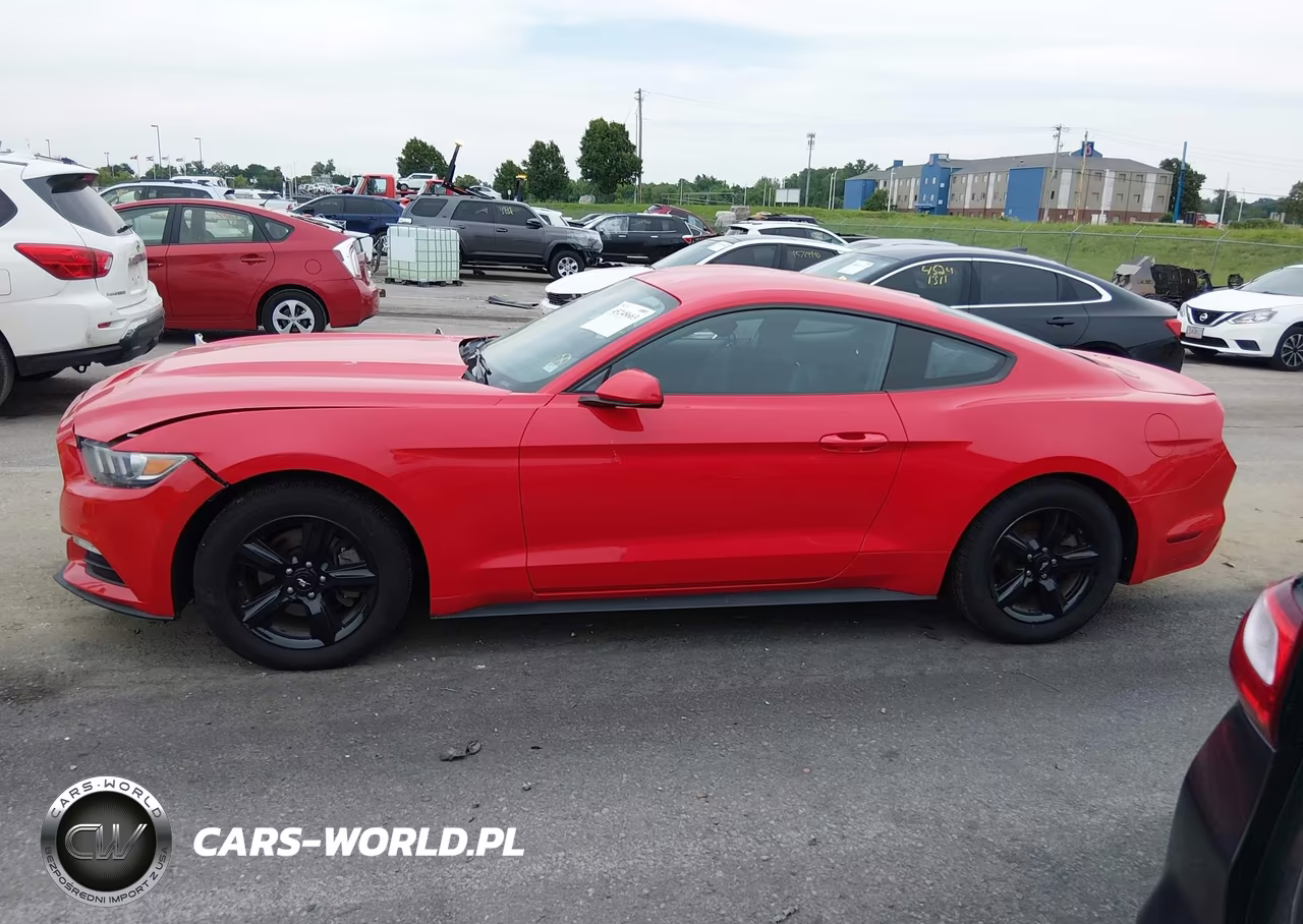 2017 Ford Mustang V6 VIN:1FA6P8AM3H5250262 - 14