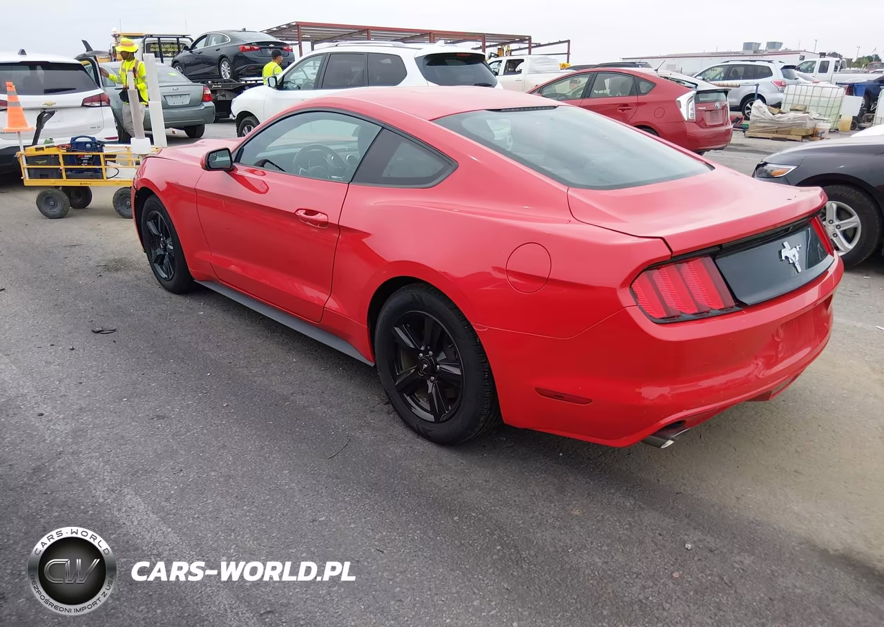 2017 Ford Mustang V6 VIN:1FA6P8AM3H5250262 - 3