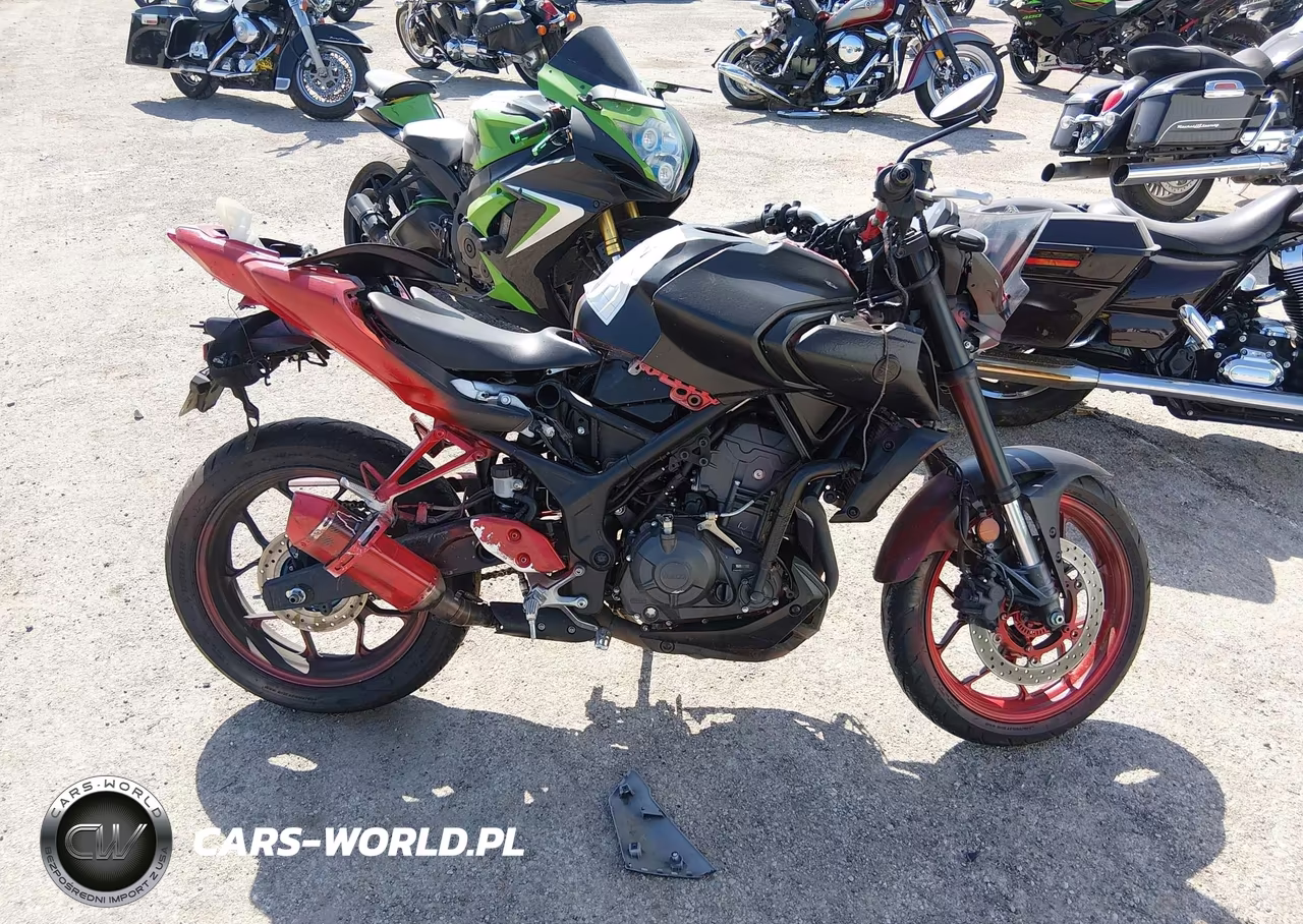 2025 Yamaha Mtn320 A VIN:MH3RH28E7SK001683 - 12