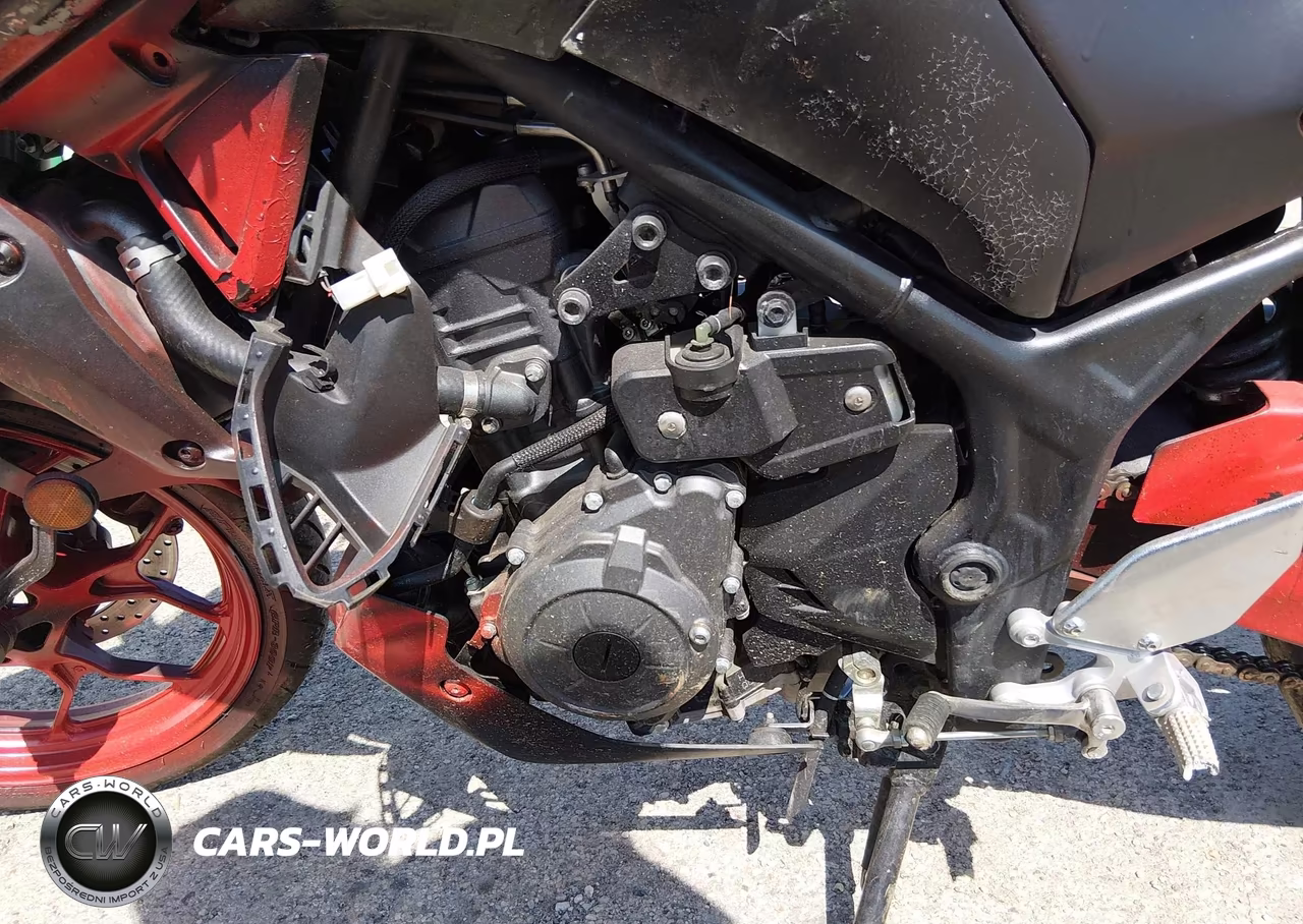 2025 Yamaha Mtn320 A VIN:MH3RH28E7SK001683 - 9
