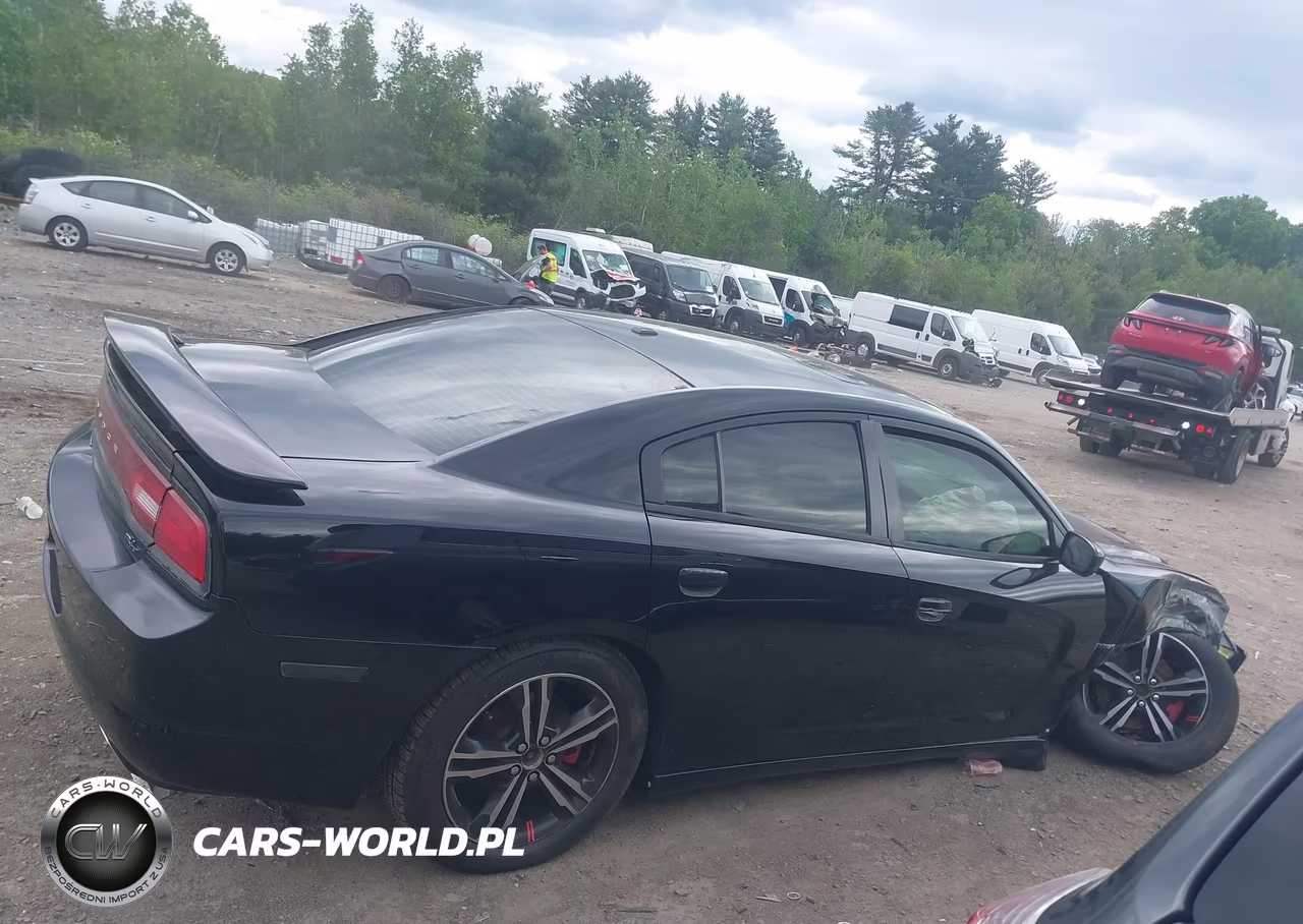 2014 Dodge Charger R-T Plus VIN:2C3CDXDT0EH341436 - 13