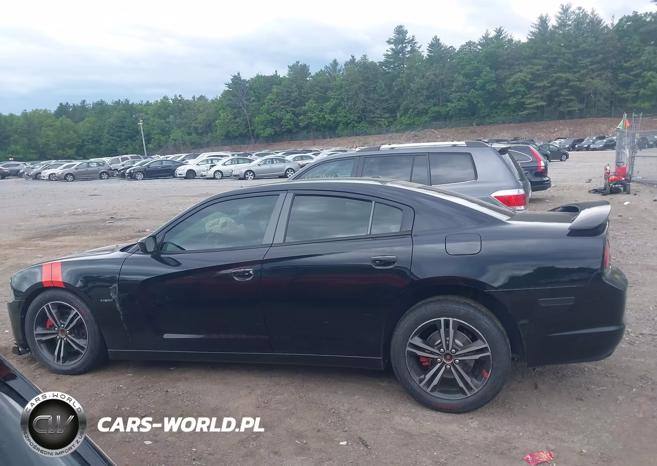 2014 Dodge Charger R-T Plus VIN:2C3CDXDT0EH341436 - 14