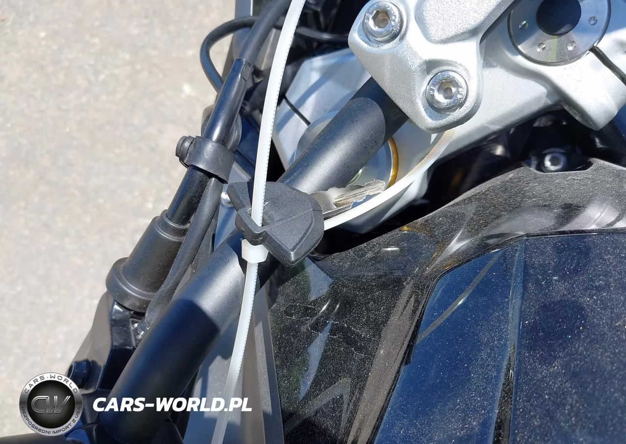 2020 BMW G310 Gs VIN:WB30G1201LR827380 - 11