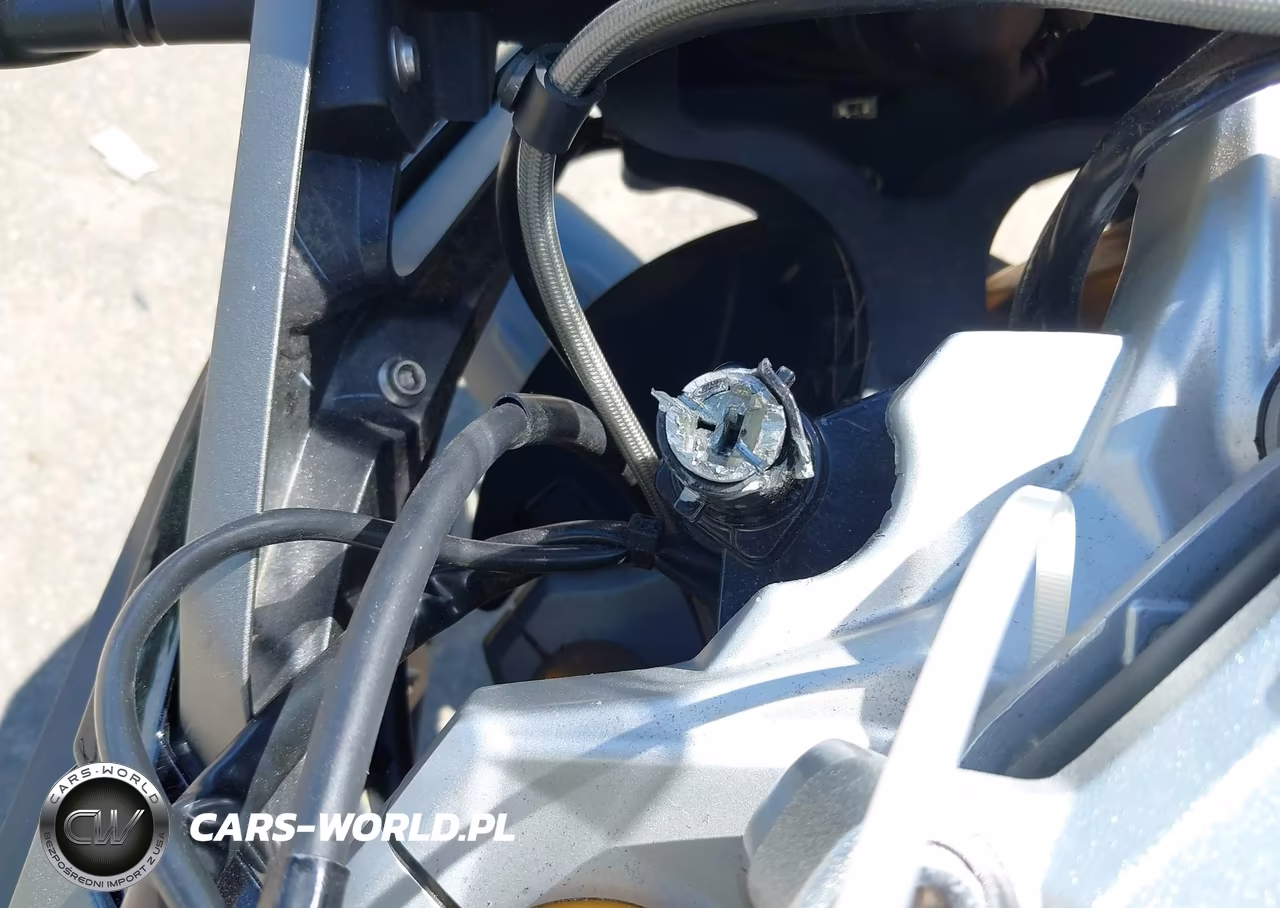 2020 BMW G310 Gs VIN:WB30G1201LR827380 - 14