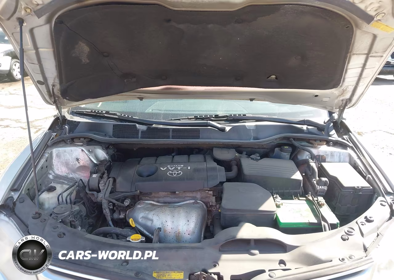 2009 Toyota Venza VIN:4T3BE11A59U002875 - 10