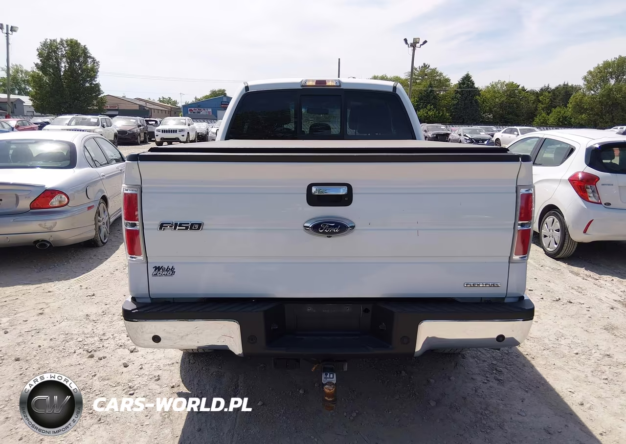 2014 Ford F-150 Xlt VIN:1FTFX1EF4EFC67722 - 16