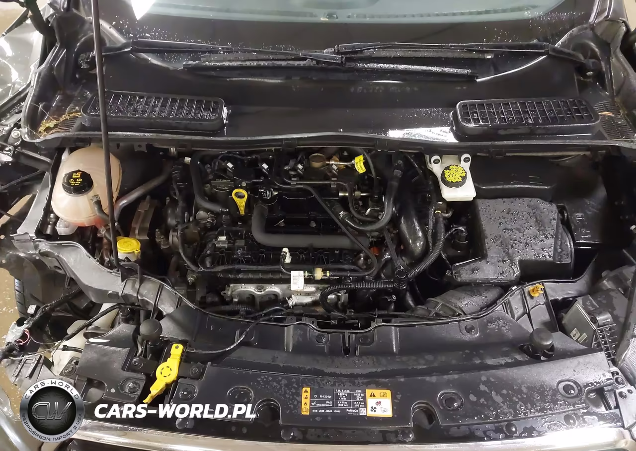 2019 Ford Escape Se VIN:1FMCU9GD1KUB30472 - 10