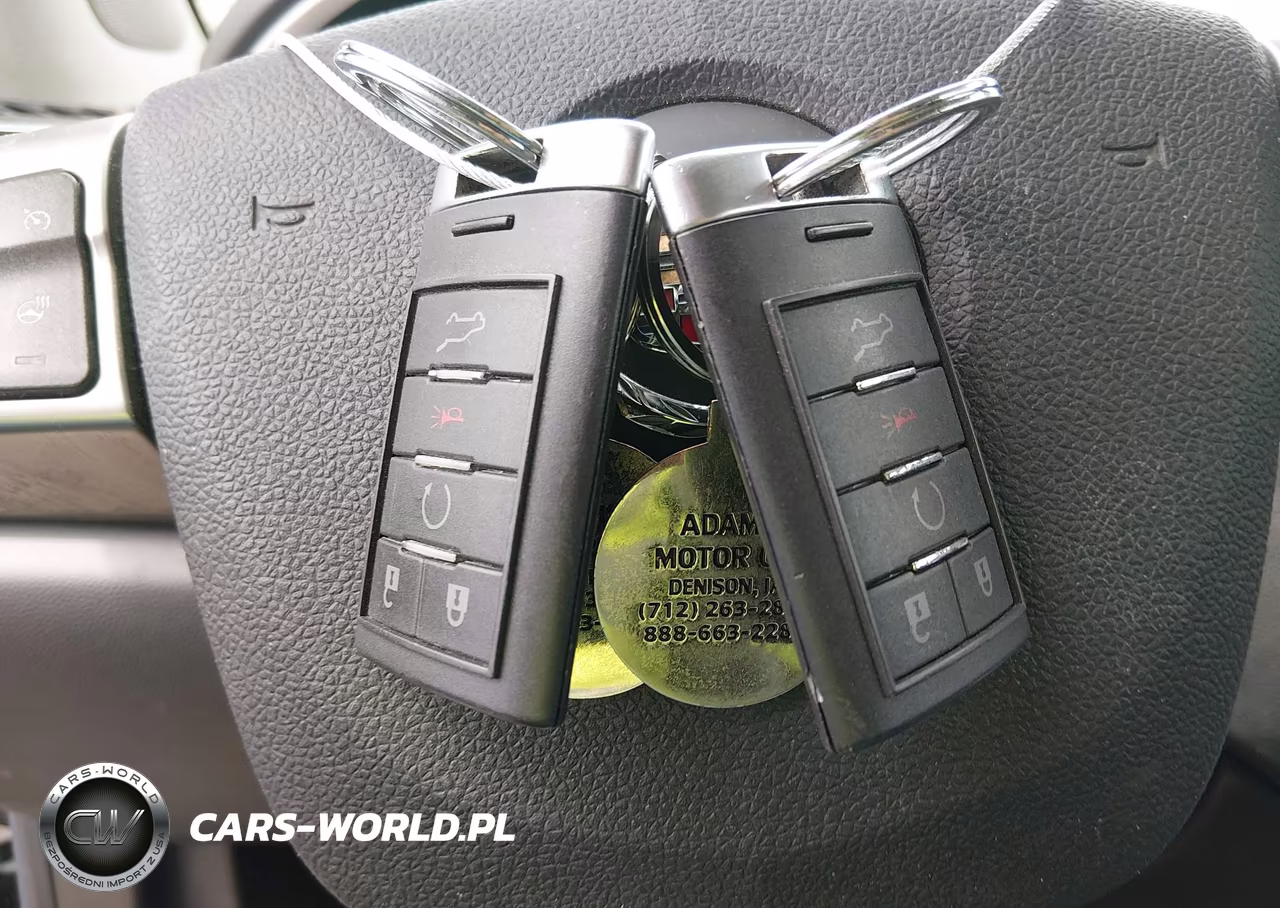 2012 Cadillac Srx Luxury Collection VIN:3GYFNDE30CS557729 - 11