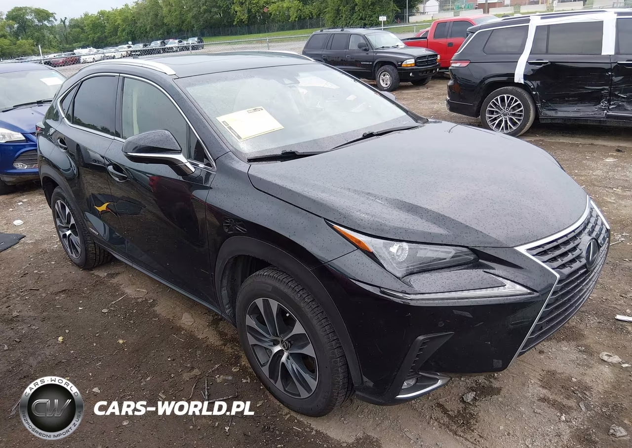 2019 Lexus Nx 300H