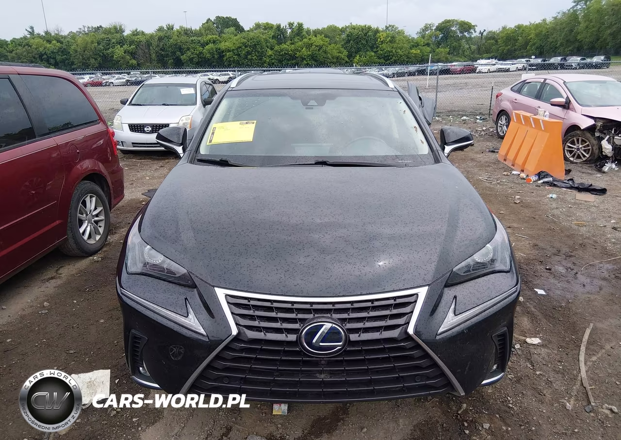 2019 Lexus Nx 300H VIN:JTJBJRBZ7K2104186 - 12