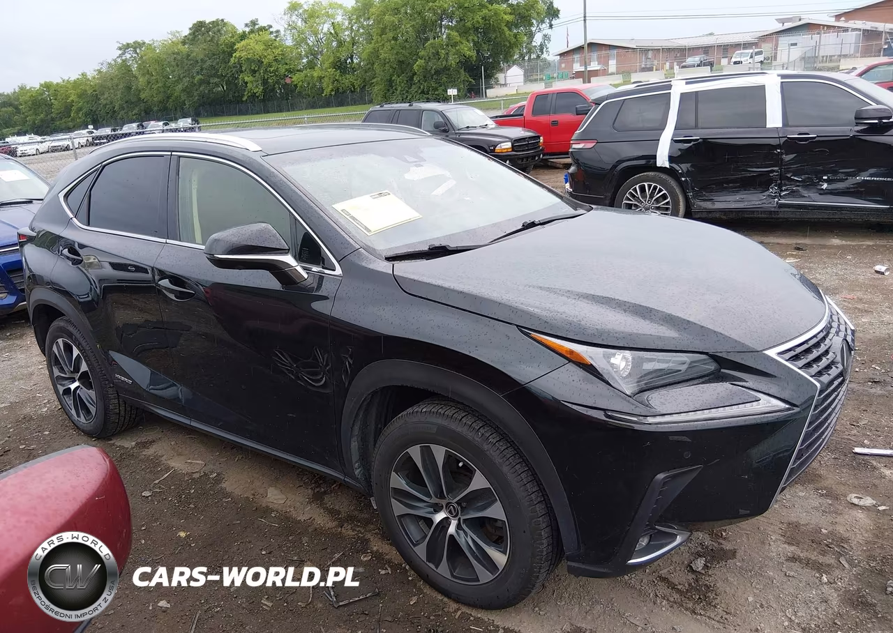 2019 Lexus Nx 300H VIN:JTJBJRBZ7K2104186 - 13