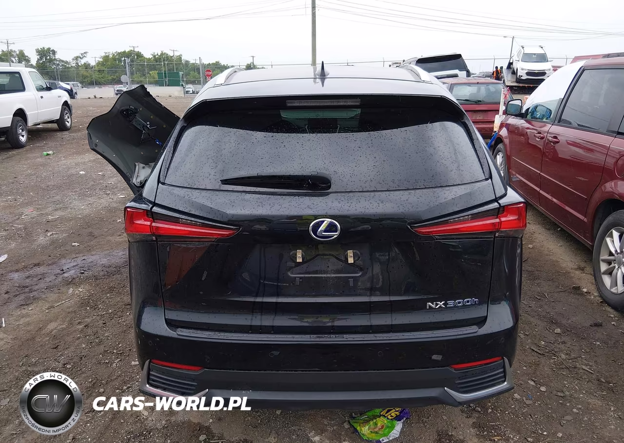 2019 Lexus Nx 300H VIN:JTJBJRBZ7K2104186 - 16