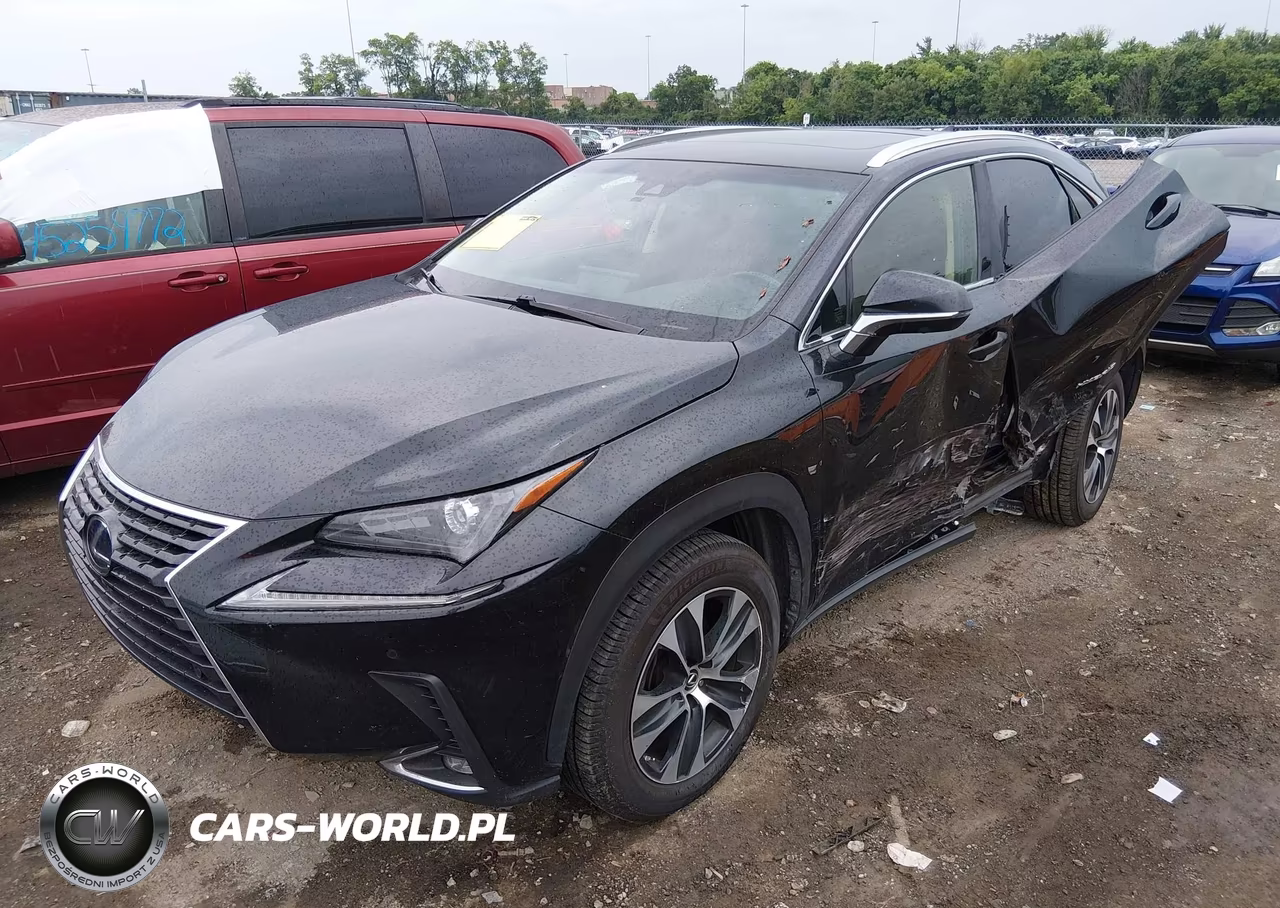2019 Lexus Nx 300H VIN:JTJBJRBZ7K2104186 - 2