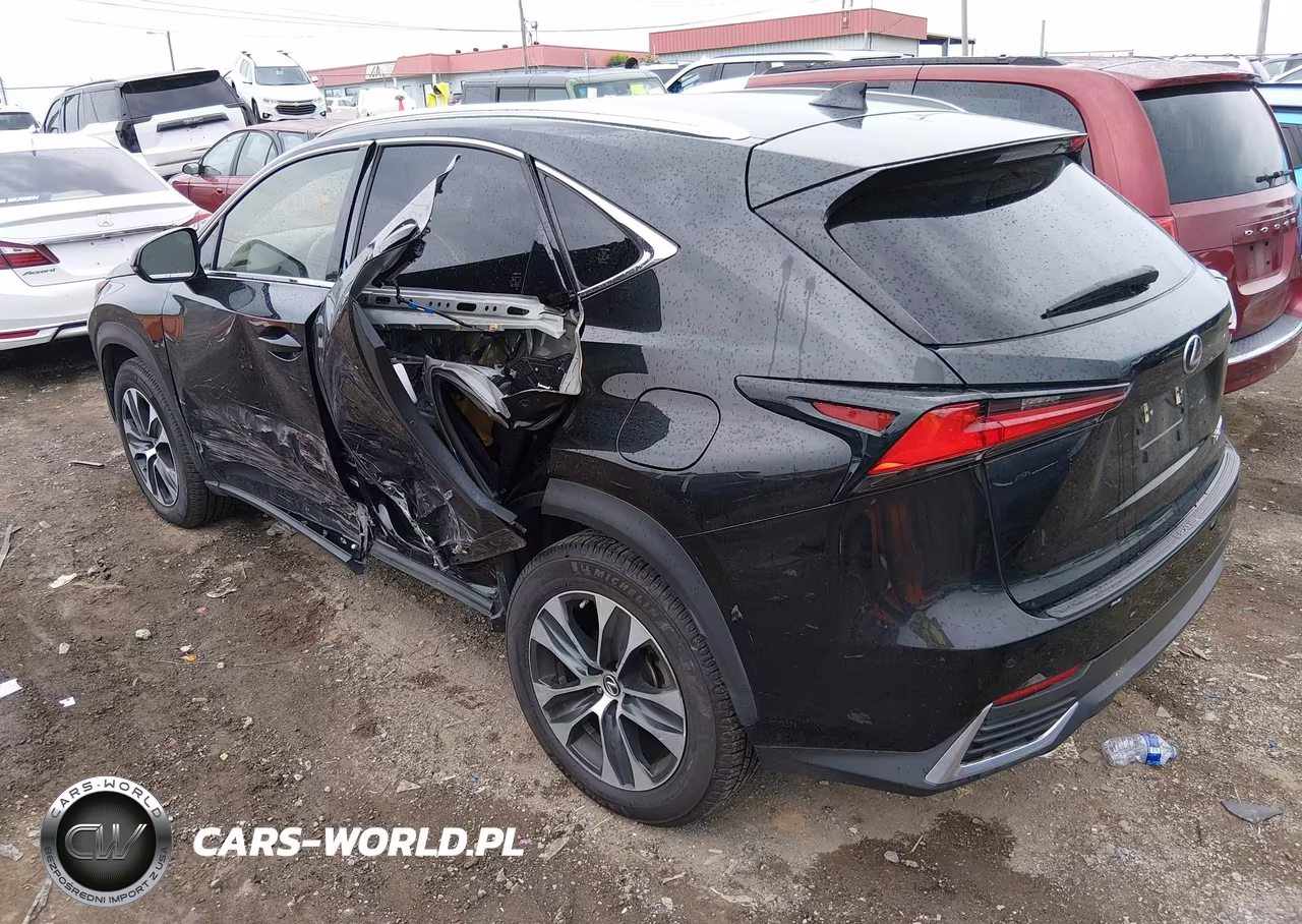2019 Lexus Nx 300H VIN:JTJBJRBZ7K2104186 - 3