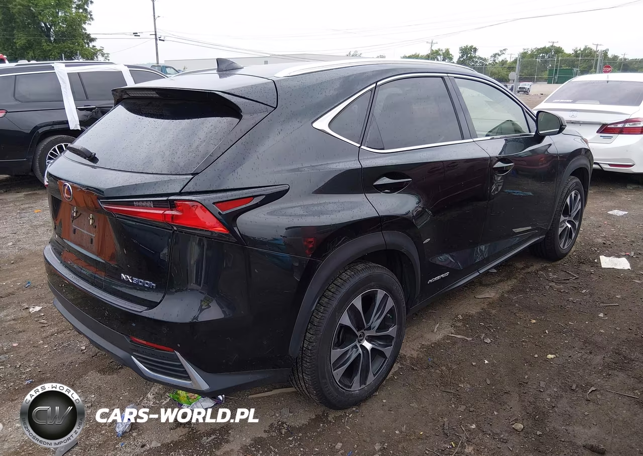 2019 Lexus Nx 300H VIN:JTJBJRBZ7K2104186 - 4