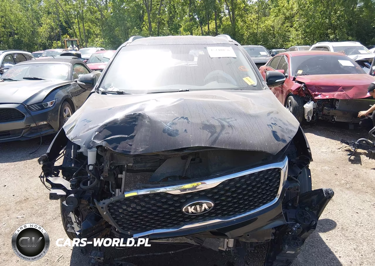2018 Kia Sorento 3.3L Lx VIN:5XYPGDA59JG352050 - 11