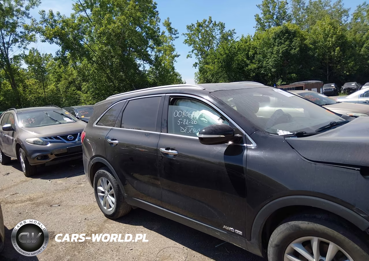 2018 Kia Sorento 3.3L Lx VIN:5XYPGDA59JG352050 - 12