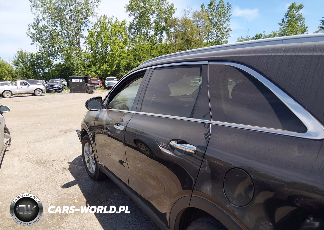 2018 Kia Sorento 3.3L Lx VIN:5XYPGDA59JG352050 - 13