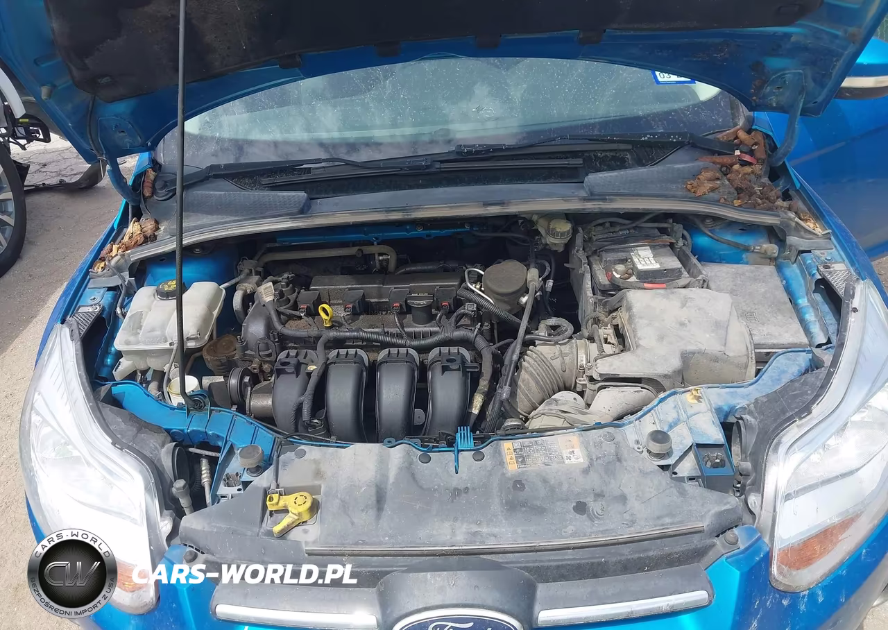 2014 Ford Focus Se VIN:1FADP3F28EL299613 - 10