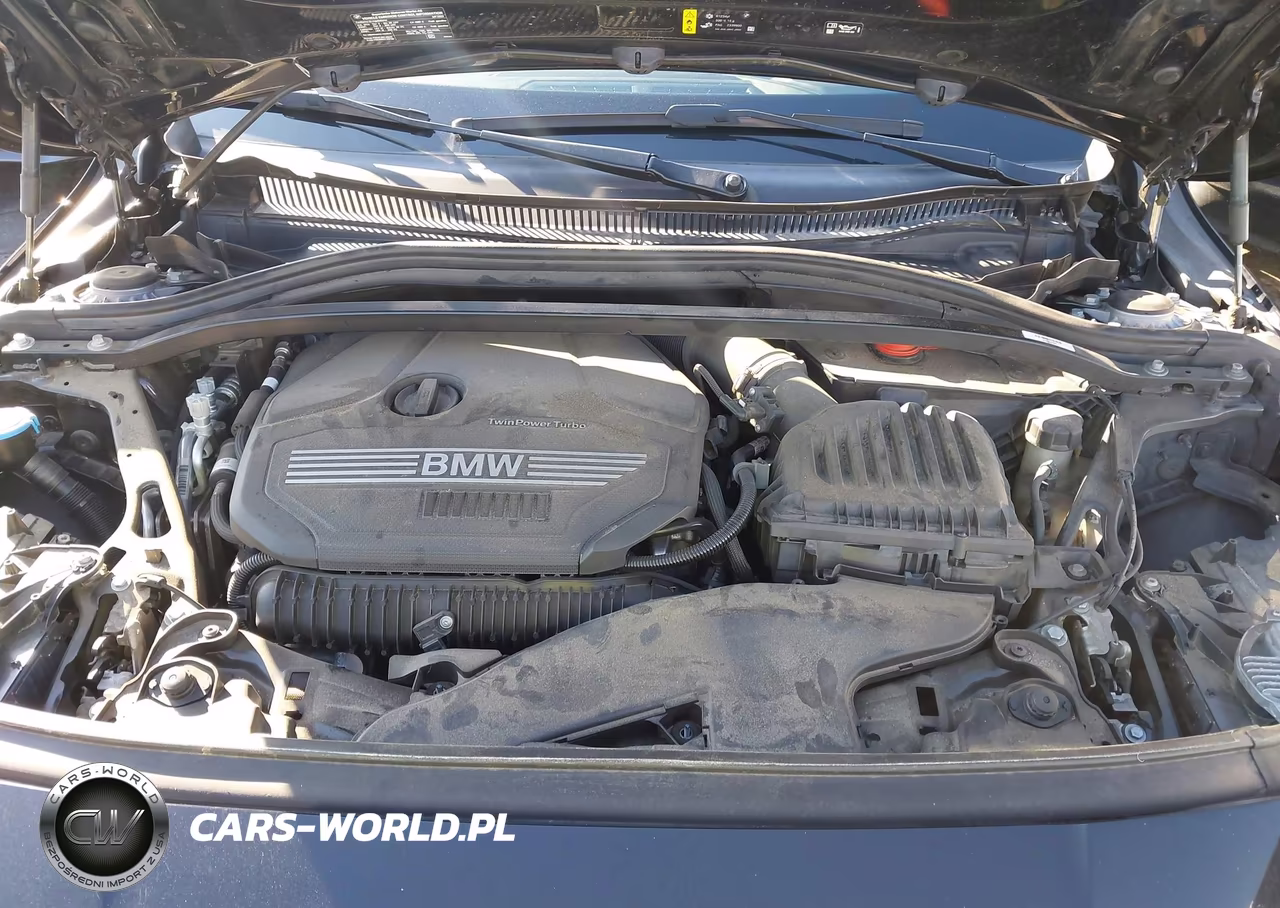 2023 BMW 228 Gran Coupe I Sdrive VIN:WBA53AK02P7L78111 - 10