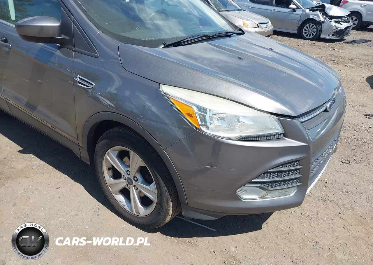 2014 Ford Escape Se VIN:1FMCU0GX8EUA65887 - 6